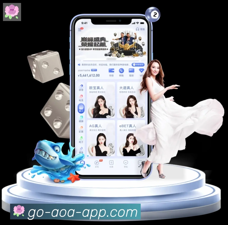 奖项证书